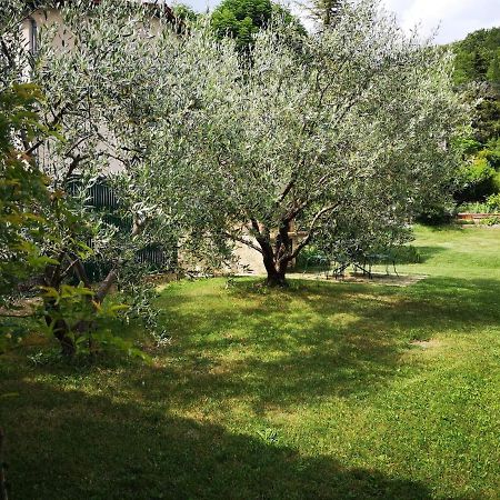Maison 3 Etoiles Avec Jardin Pour Familles, Sportifs, Curistes... Динь-ле-Бен Экстерьер фото