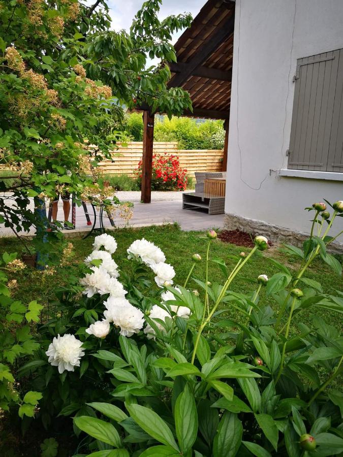 Maison 3 Etoiles Avec Jardin Pour Familles, Sportifs, Curistes... Динь-ле-Бен Экстерьер фото